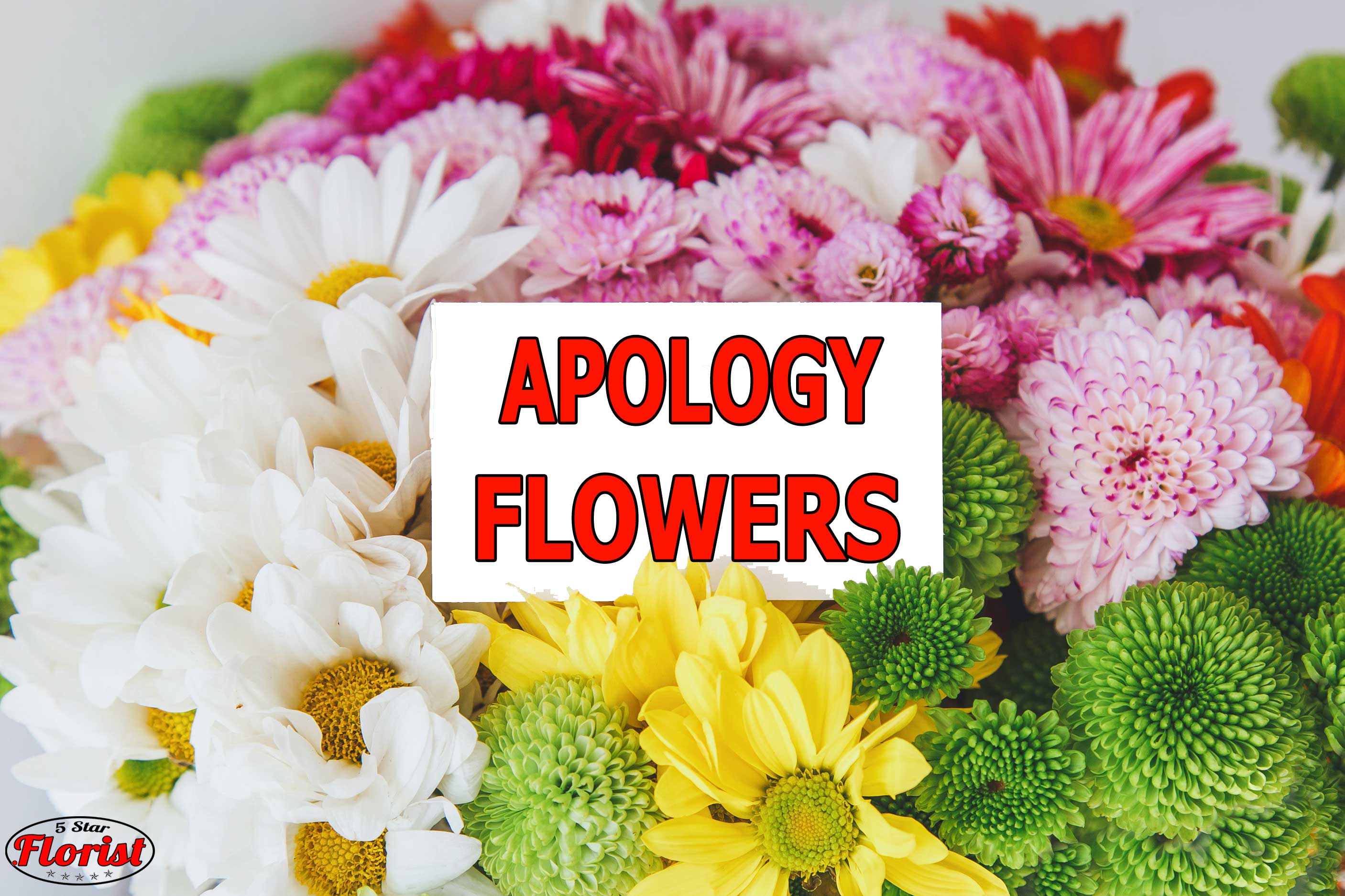 apology flowers Pittsburgh