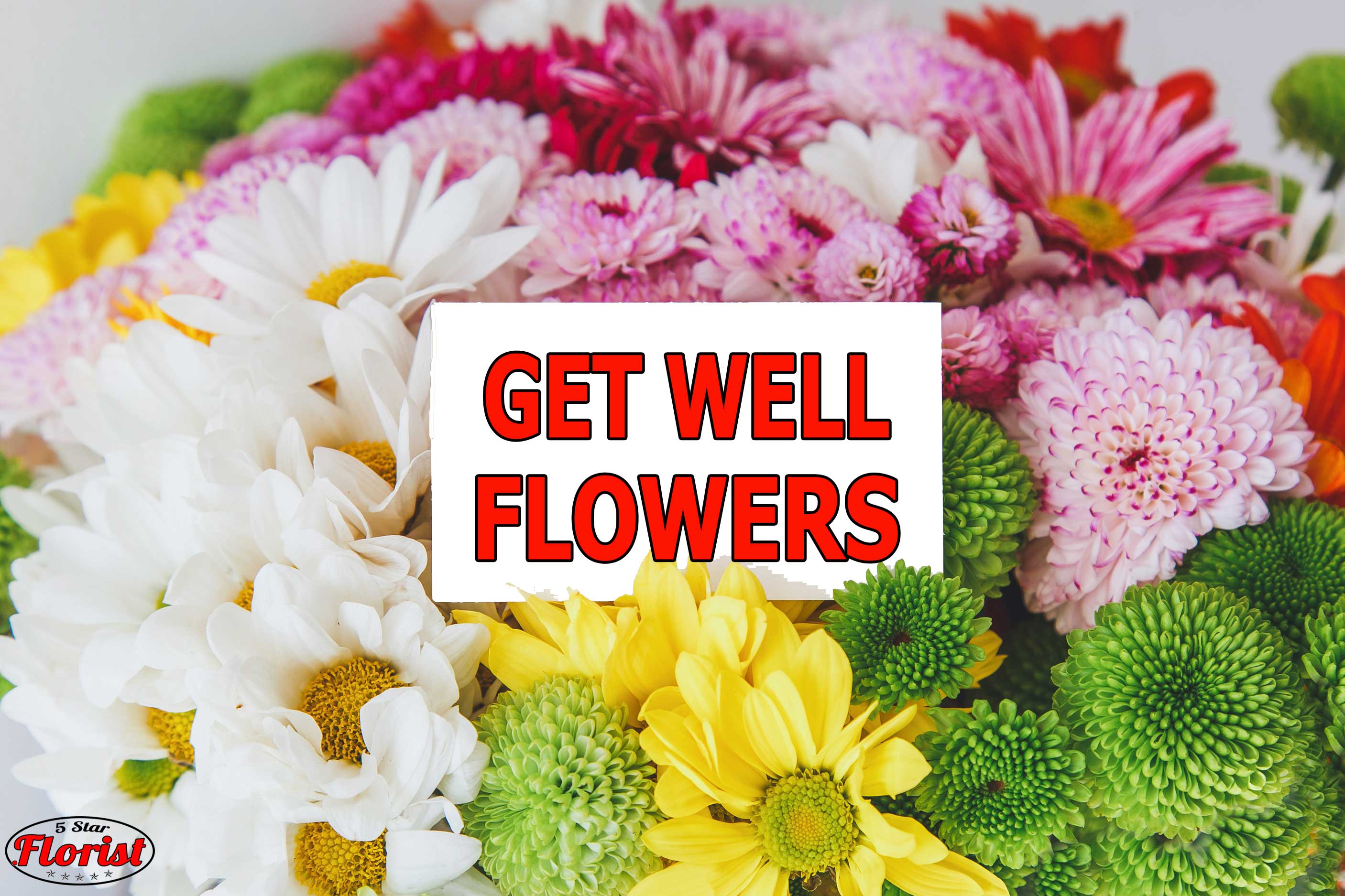 get-well-flowers Pittsburgh